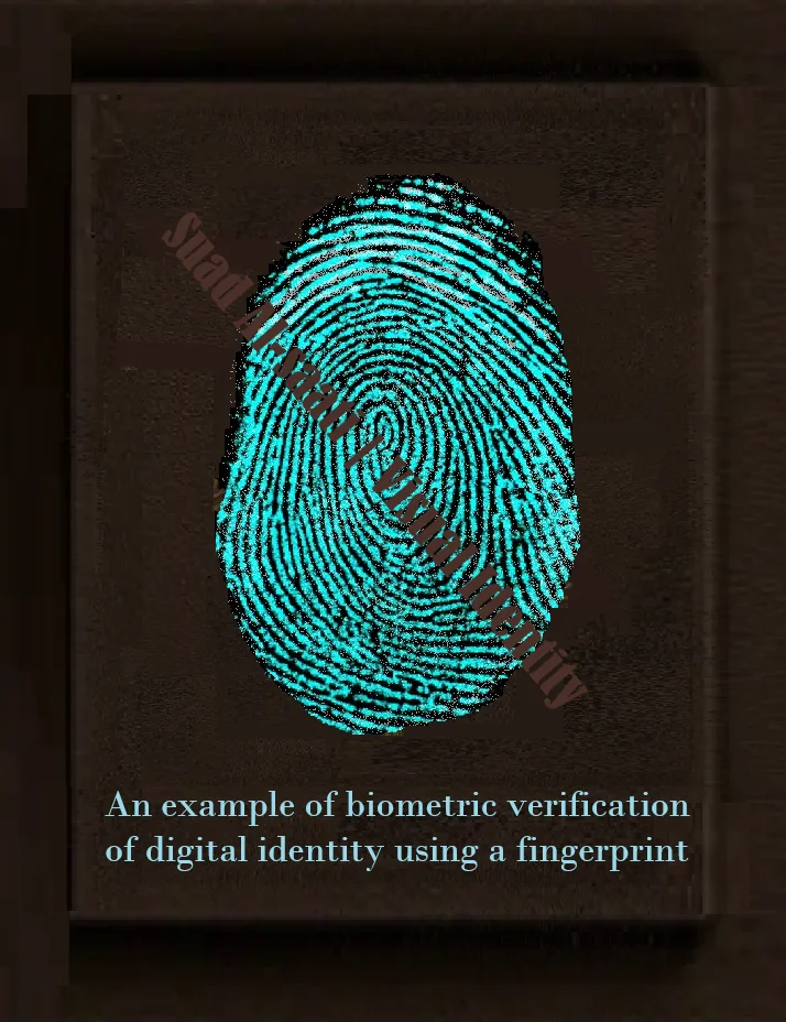 The Technical Stages of Digital Identity